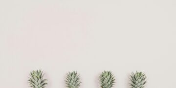 Chipotle investiert 100 Millionen Dollar in die Zukunft der Lebensmittel — Willkommen zu Ihren innovativen Ideen