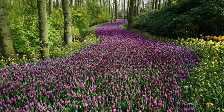 Ein sanfter Ruf zur Garten-Erneuerung